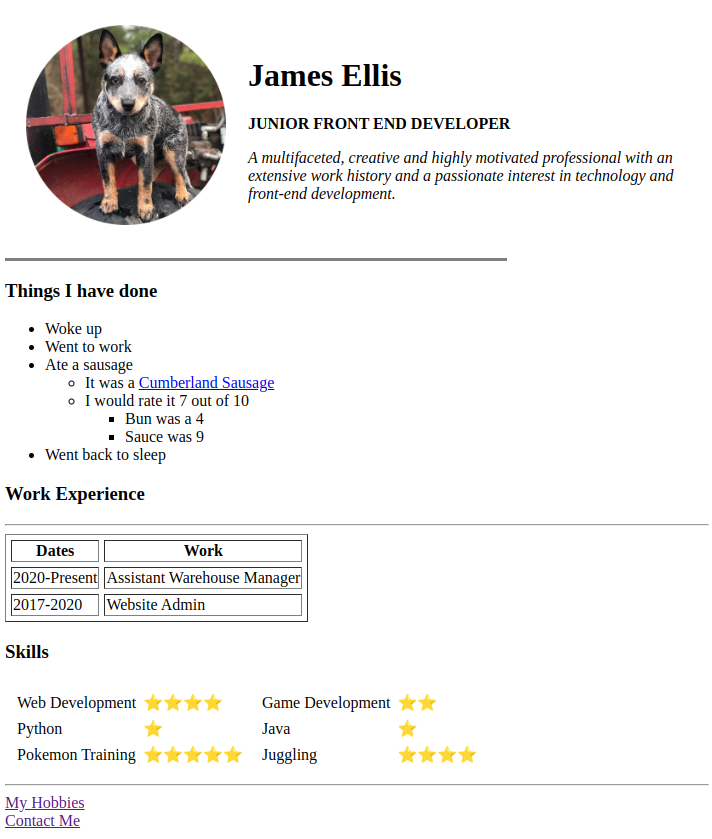 Screenshot of a personal HTML website